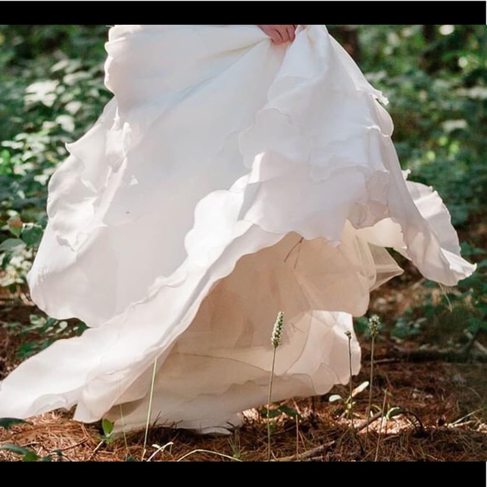 Demetrios Size 10 wedding dress - Picture 5 of 5